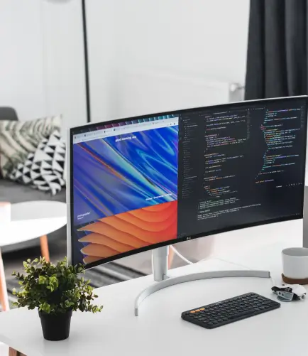 monitor